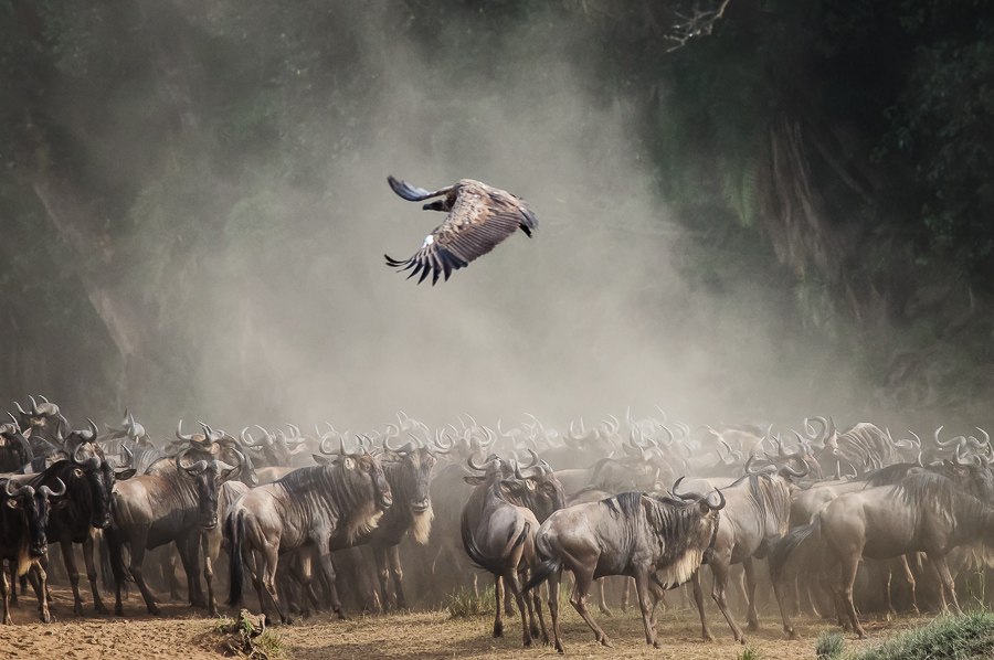 Mara River Flyby