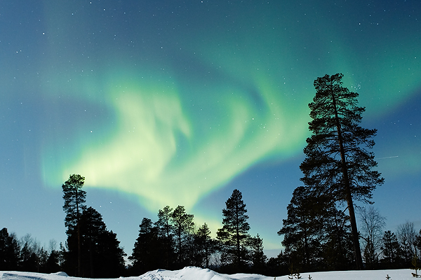 Aurora-1