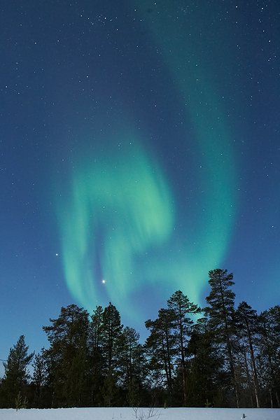 Aurora-4