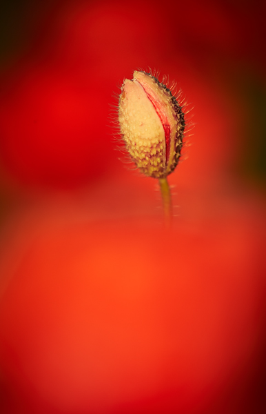 Blog-12a