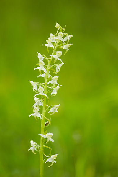Blog-7