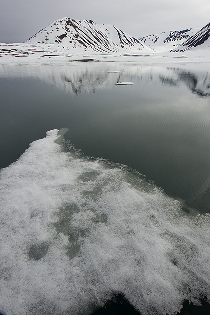 Musshamna-Svalbard1