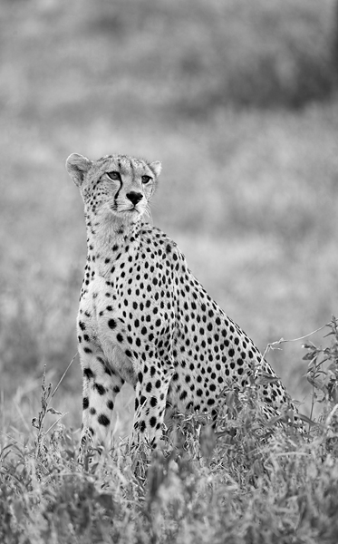 Blog-22