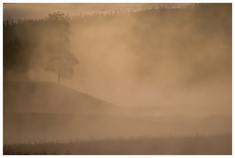 yellowstone2
